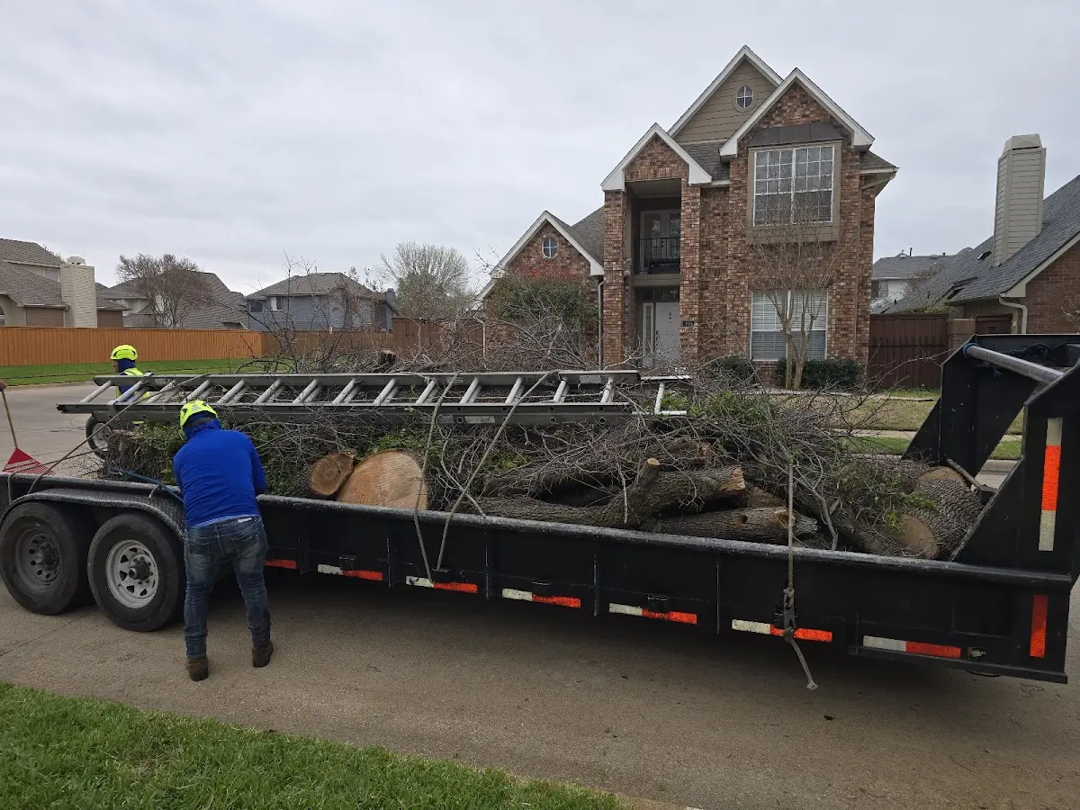 Expert Lot Clearing with proper safety equipment in Westley